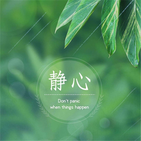 蝴蝶传媒app：数字内容新星崛起,蝴蝶传媒app引领行业变革-2