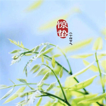 欧美精品一品二品三品四品,欧美精品分级现象 中国消费者陷入品牌迷宫的恐惧-3