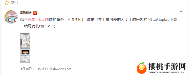 网综新玩法！《生死格斗5无限》打造IP定制化营销新思路