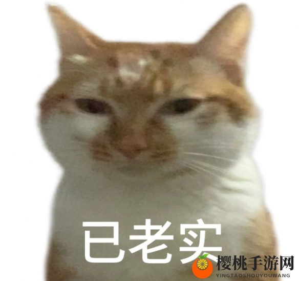 已老实求放过表情包大全