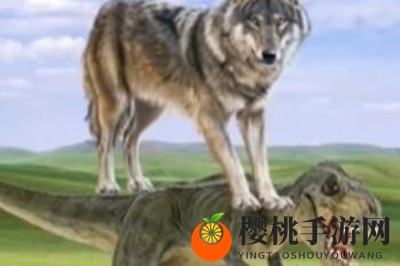 我没k我没k梗意思介绍