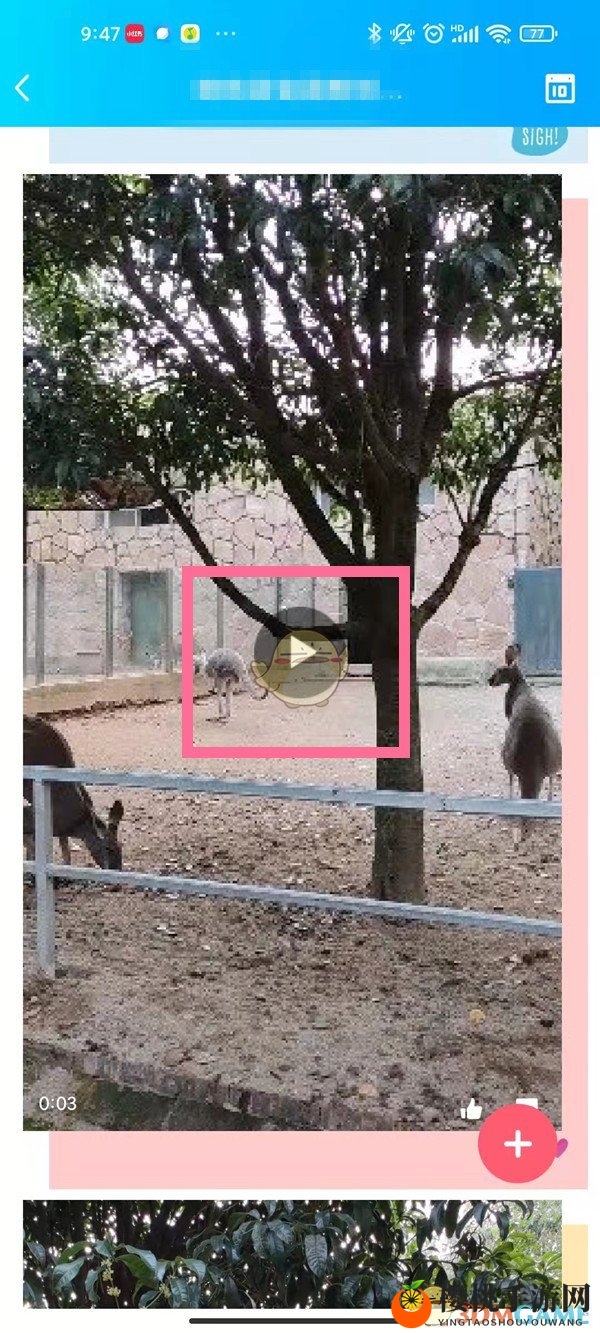 《QQ》下载空间相册视频方法