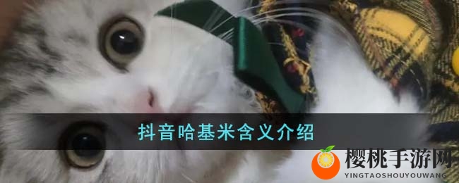抖音哈基米含义介绍