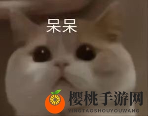抖音哈基米含义介绍