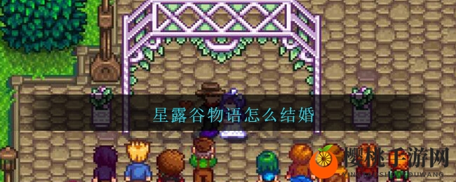 星露谷物语怎么结婚